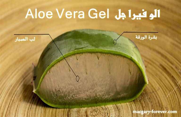 الو-فيرا-جل-Aloe-Vera-Gel